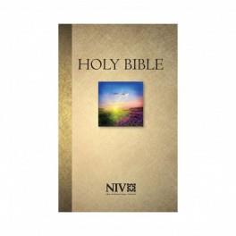 HOLY BIBLE - ΑΓΓΛΙΚΗ ΑΓΙΑ ΓΡΑΦΗ (NEW INTERNATIONAL VERSION)