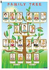 FAMILY TREE