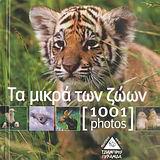 1001 PHOTOS, ΤΑ ΜΙΚΡΑ ΤΩΝ ΖΩΩΝ